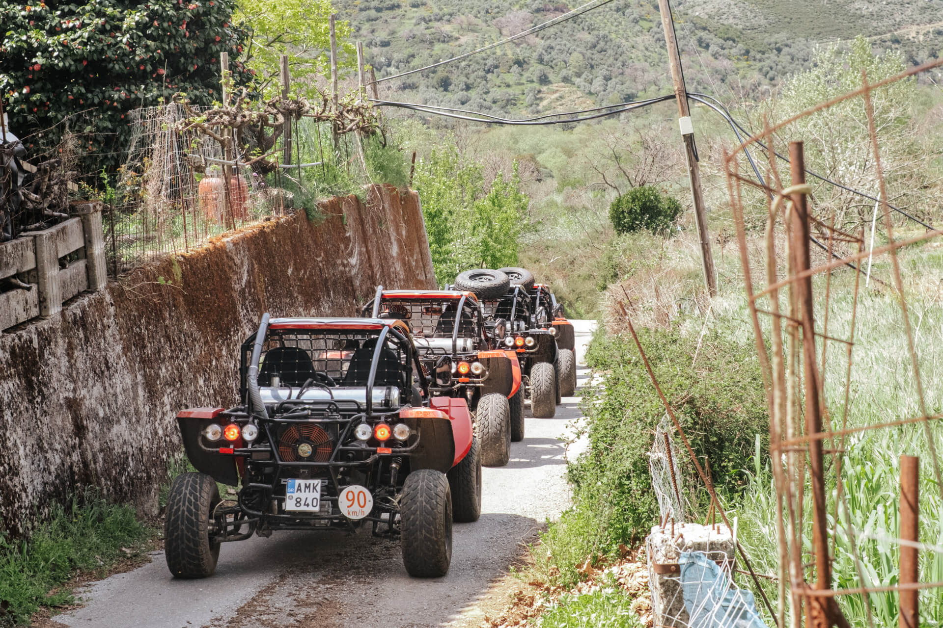 SAFARI THROUGH NATURE